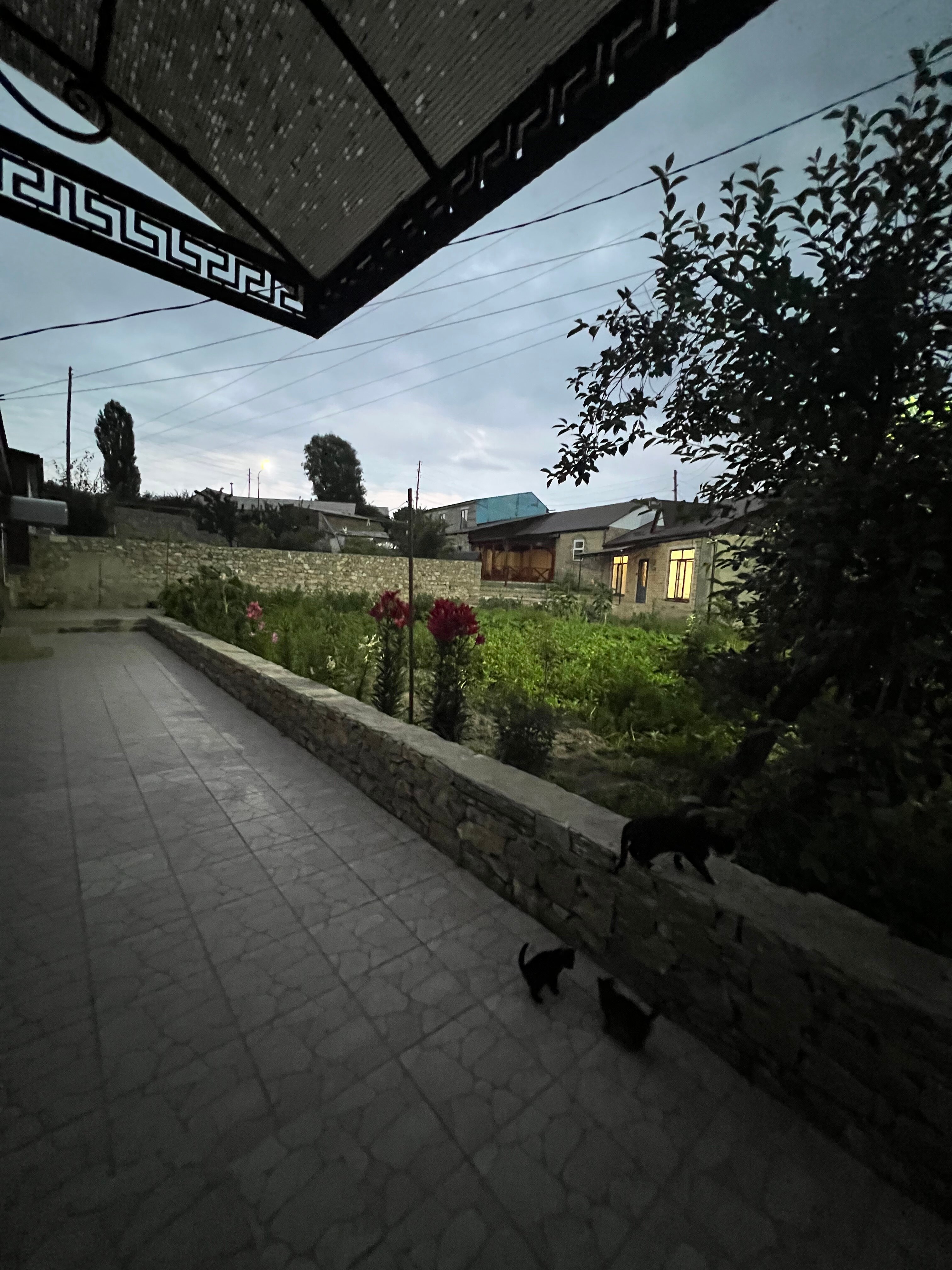 Фото Вишневый сад