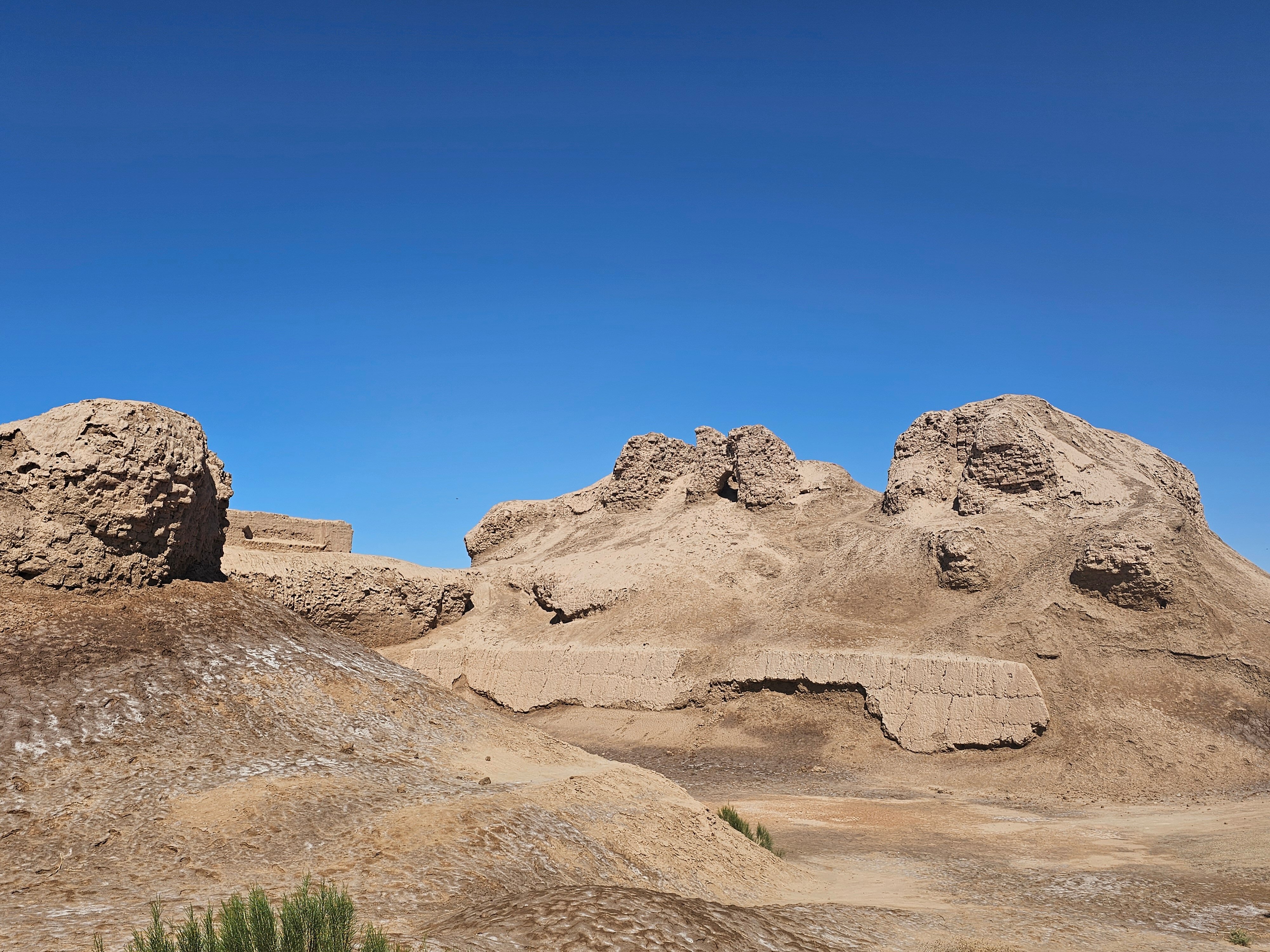 Rus tilida asosiy jinsiy instinkt onlayn