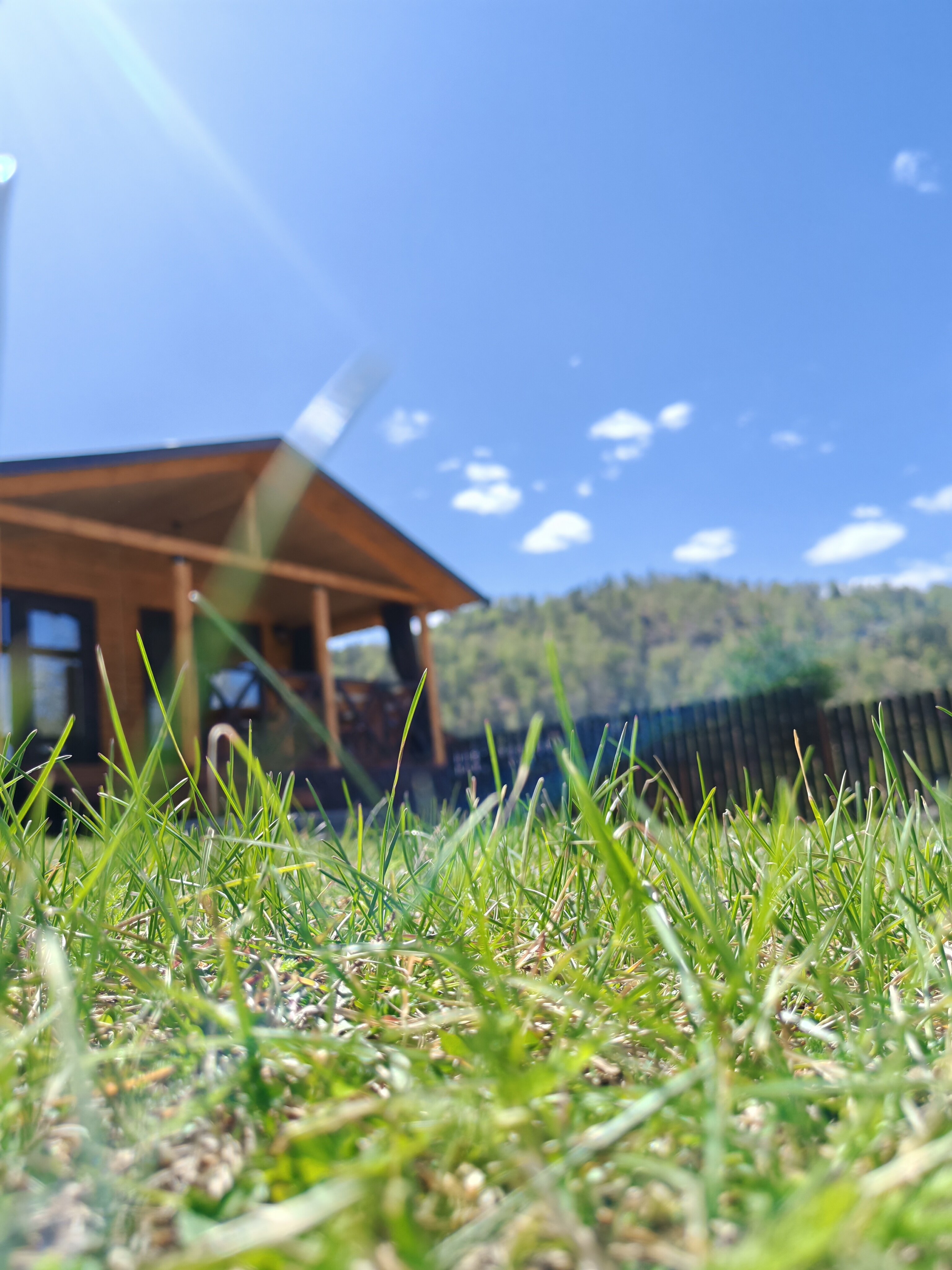 Фото Земляничная 33