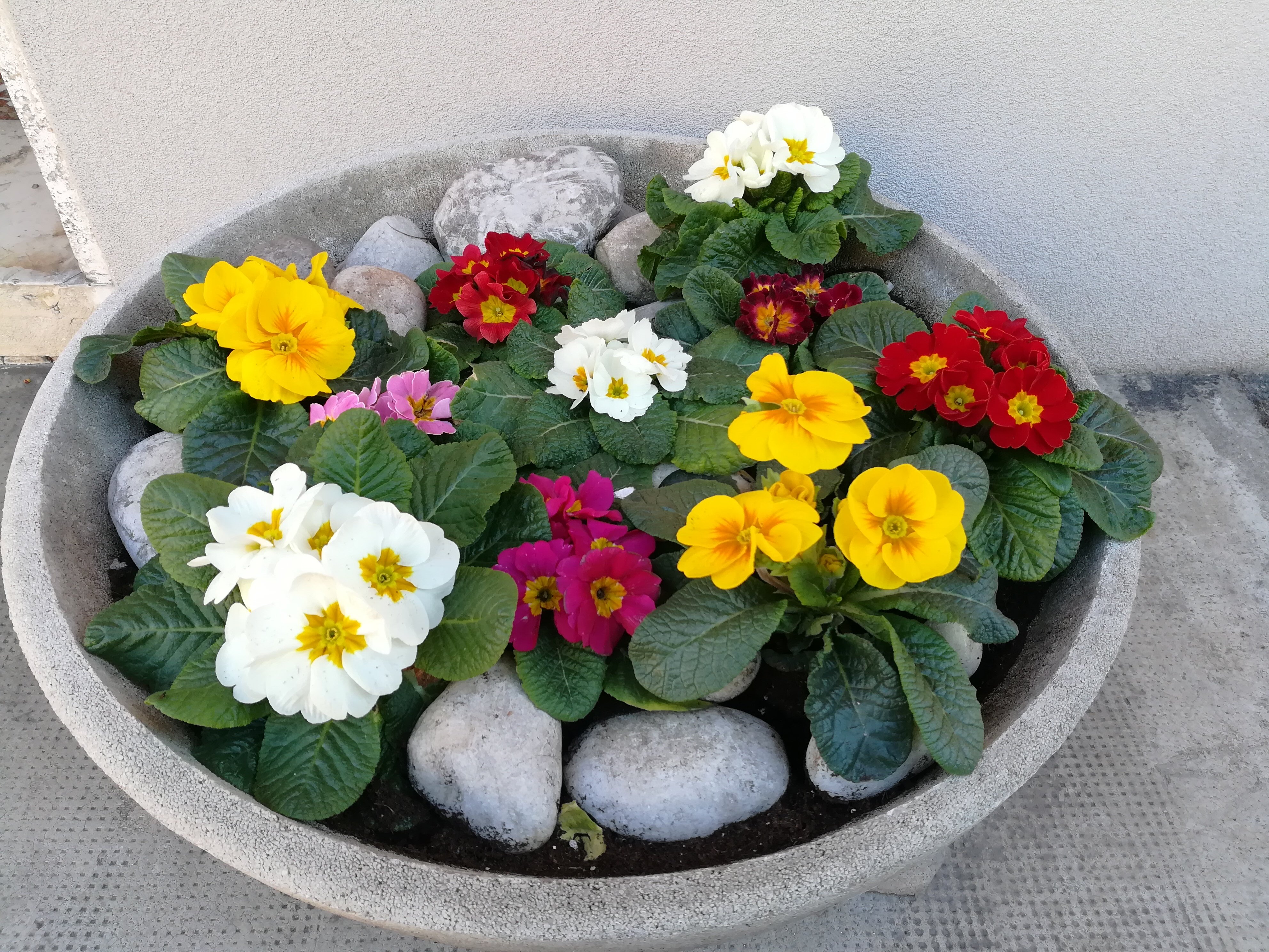 Фото Venice Amazing House