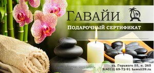 Hawaii 39 (Gorkogo Street, 55), spa
