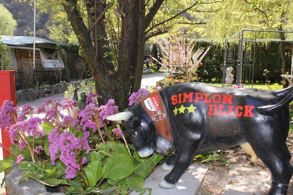 Hotel Camping Simplonblick, Valais, photo