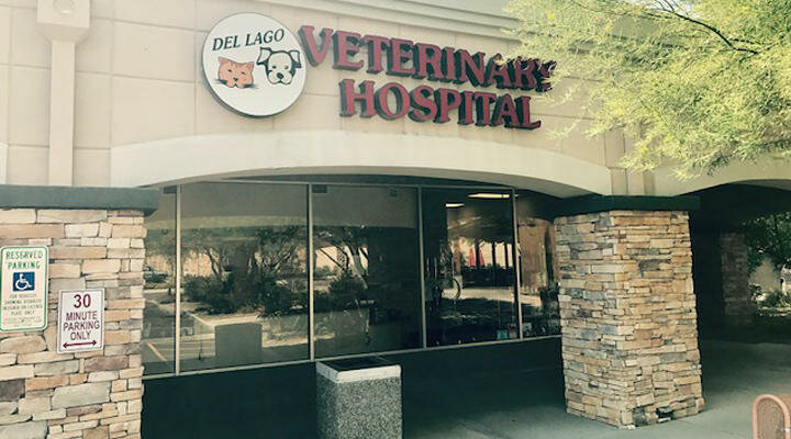 Veterinary clinic Vca Del Lago Animal Hospital, Scottsdale, photo