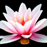 Denver Psychologist (United States, Denver, 650 SOUTH CHERRY ST., SUITE 140), family сounseling