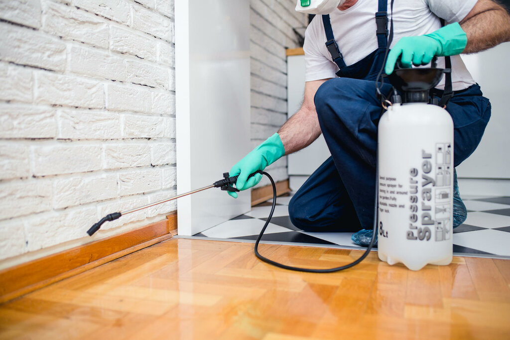 Pest control professional treating a house exterior