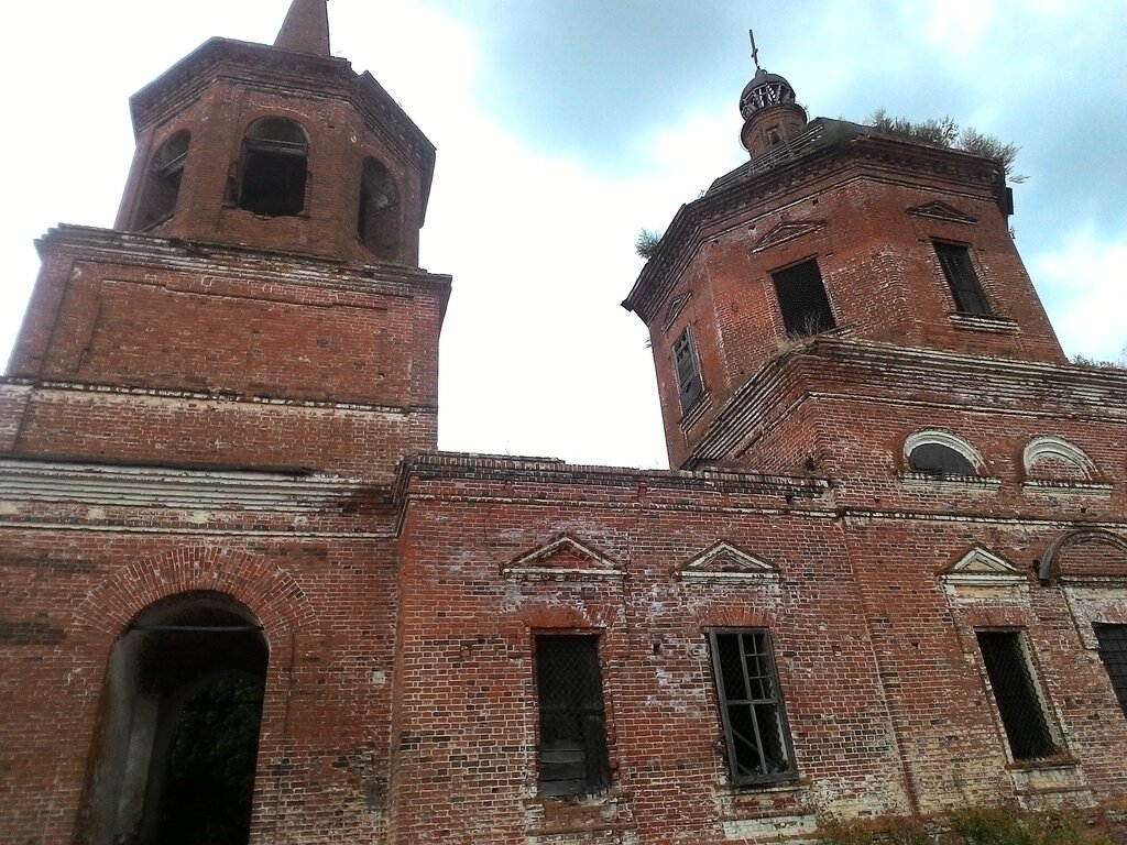 Деревня жуки фото в реале