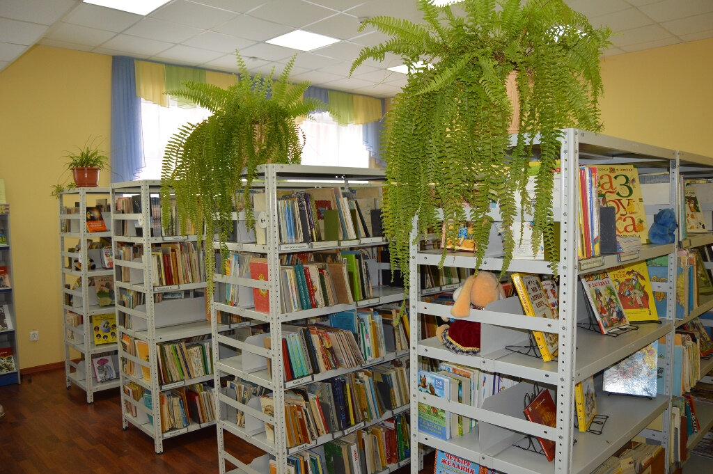 مكتبة Centralized library system of the city of Rybinsk ، ، صورة