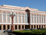 Gosudarstvenny simfonichesky orkestr Respubliki Tatarstan (Gogolya Street, 4), orchestra