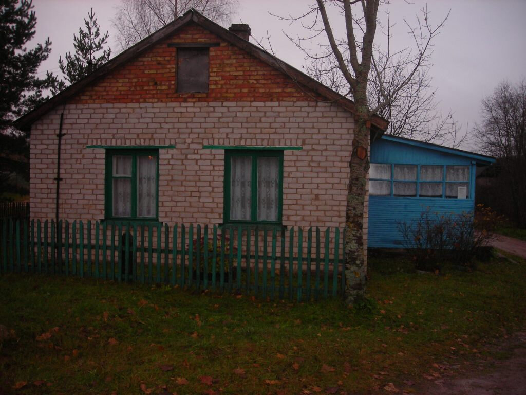 Псковская область деревня Дедовичи
