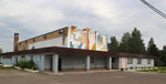 Cherustinskiy Dom kultury (Urban Settlement of Cherusti, Vokzalnaya Street, 12), house of culture