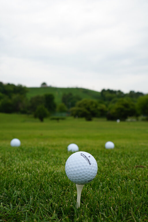 نادي غولف Training Golf Course CSP Krylatskoe ، موسكو، صورة