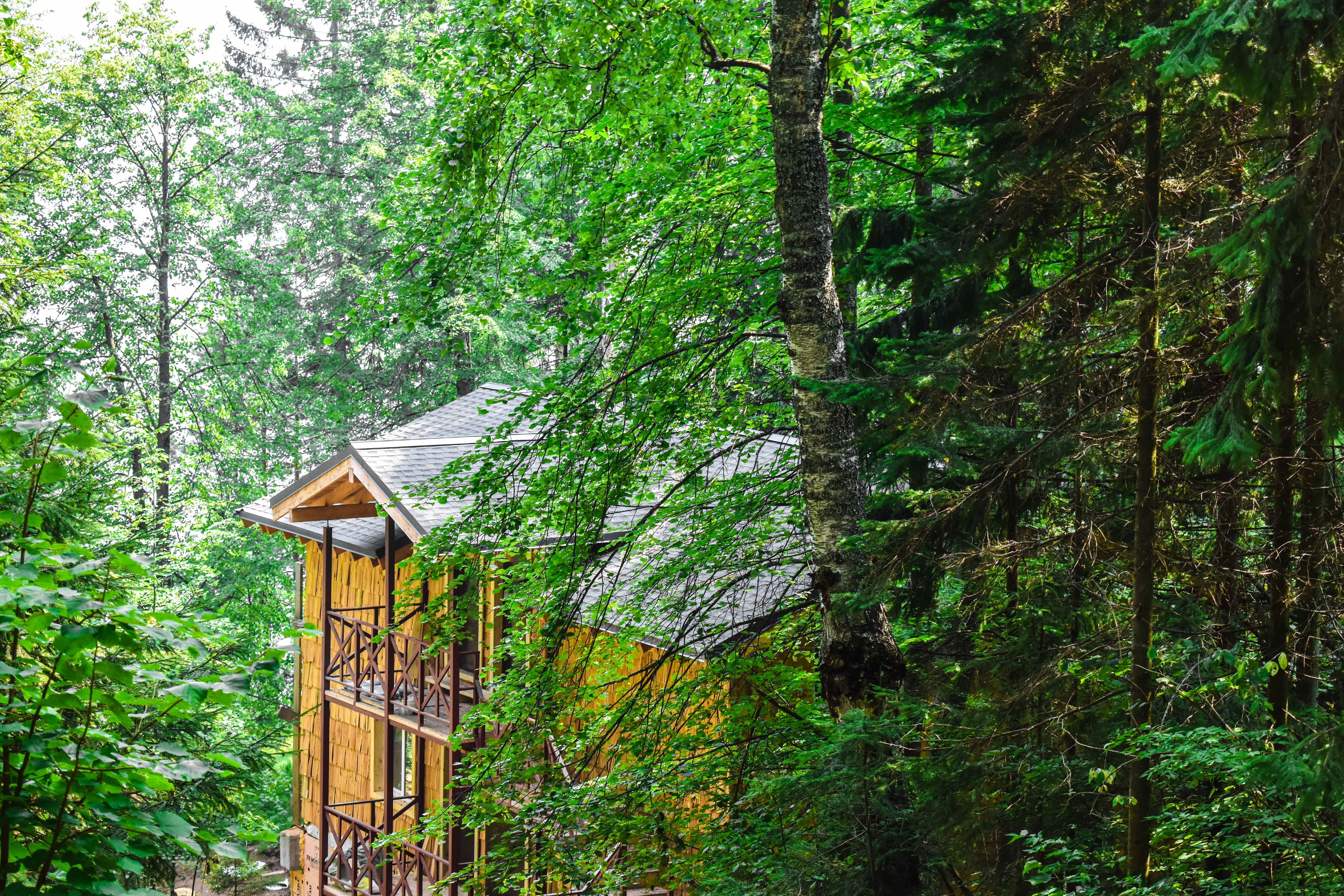 Фото База отдыха Костоваты