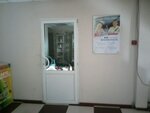 Avto-Aziya (ulitsa Novosyolovka, 62А), auto parts and auto goods store
