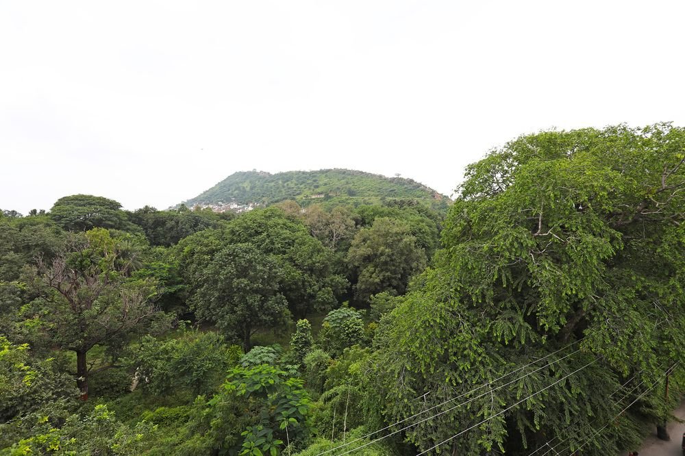 Фото Hotel Shambhu Villas