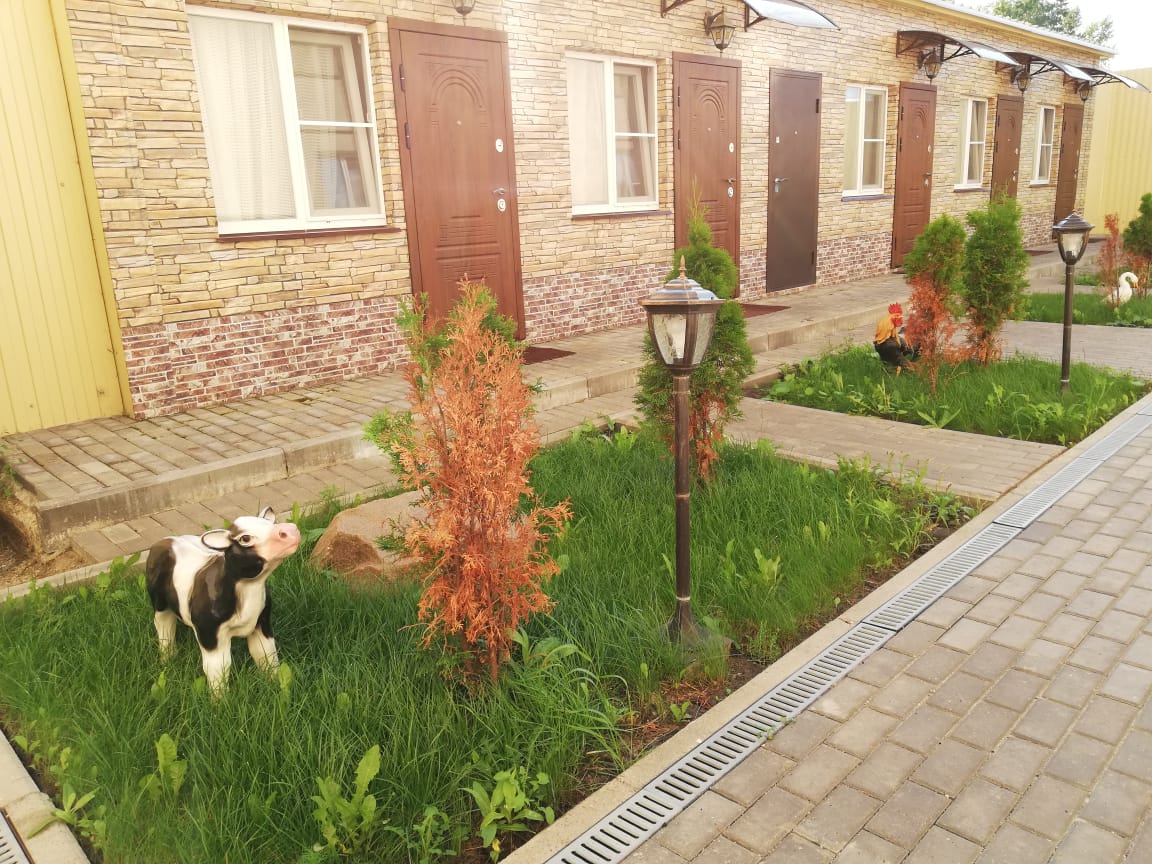 Фото Релакс