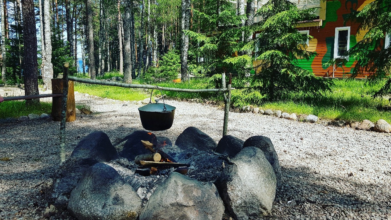 Фото Черная лиса