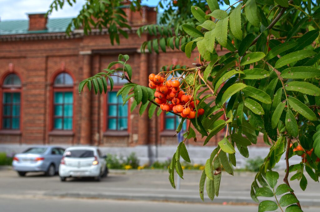 Landmark, attraction Народный дом Благородного собрания, Shuya, photo