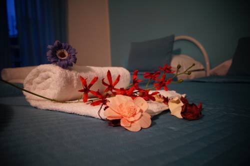 Фото I Am Here - Gioia 71