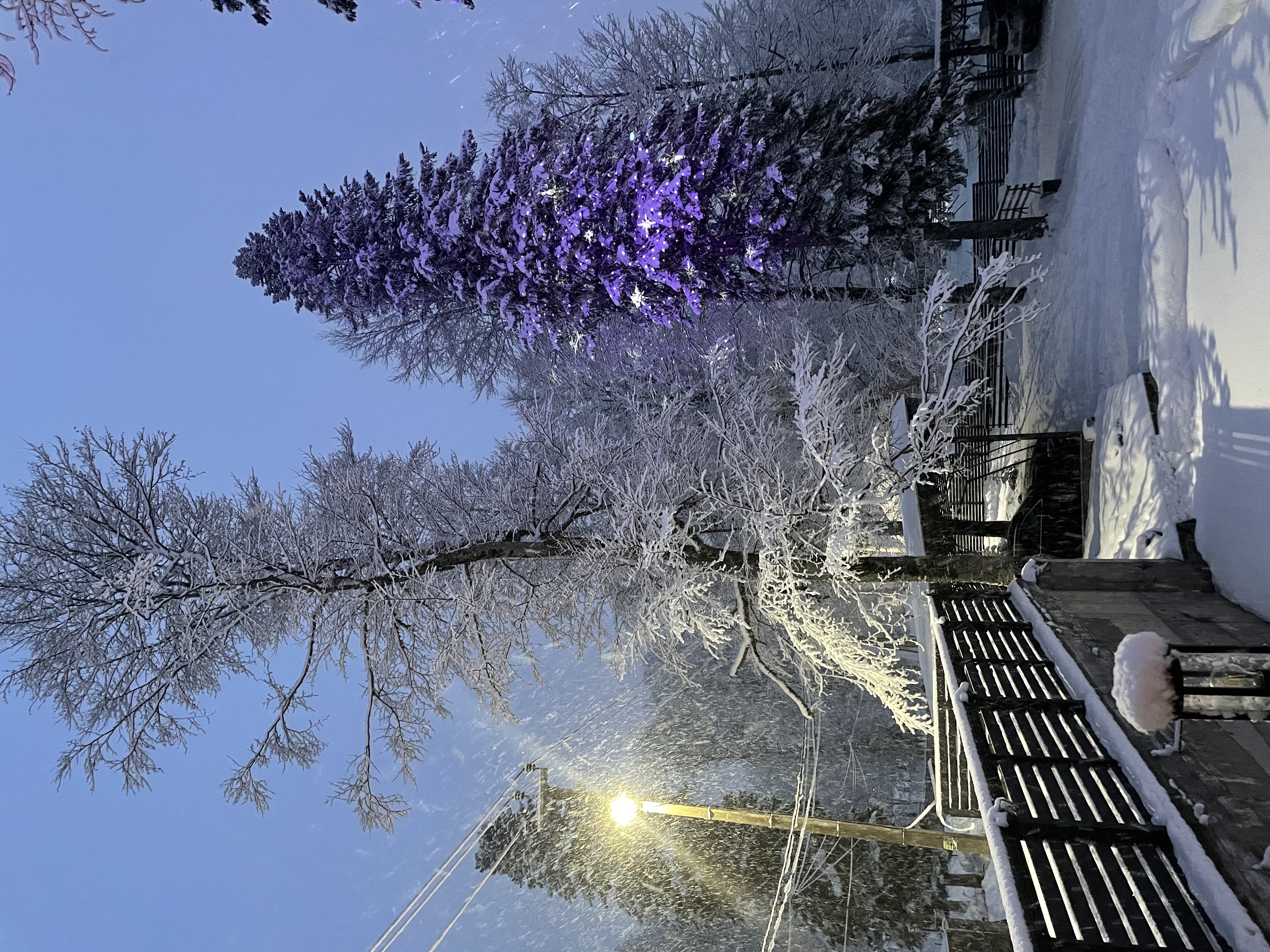 Фото Архыз Фемили Клаб