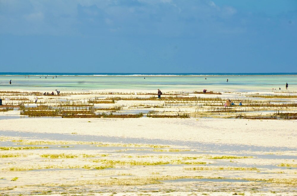 Фото Мини-отель Paje joschS