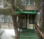 Fruit and Vegetable Store (15-shi shaǵyn aýdan, 33) ، متجر بيع خضر خضروات طازجة