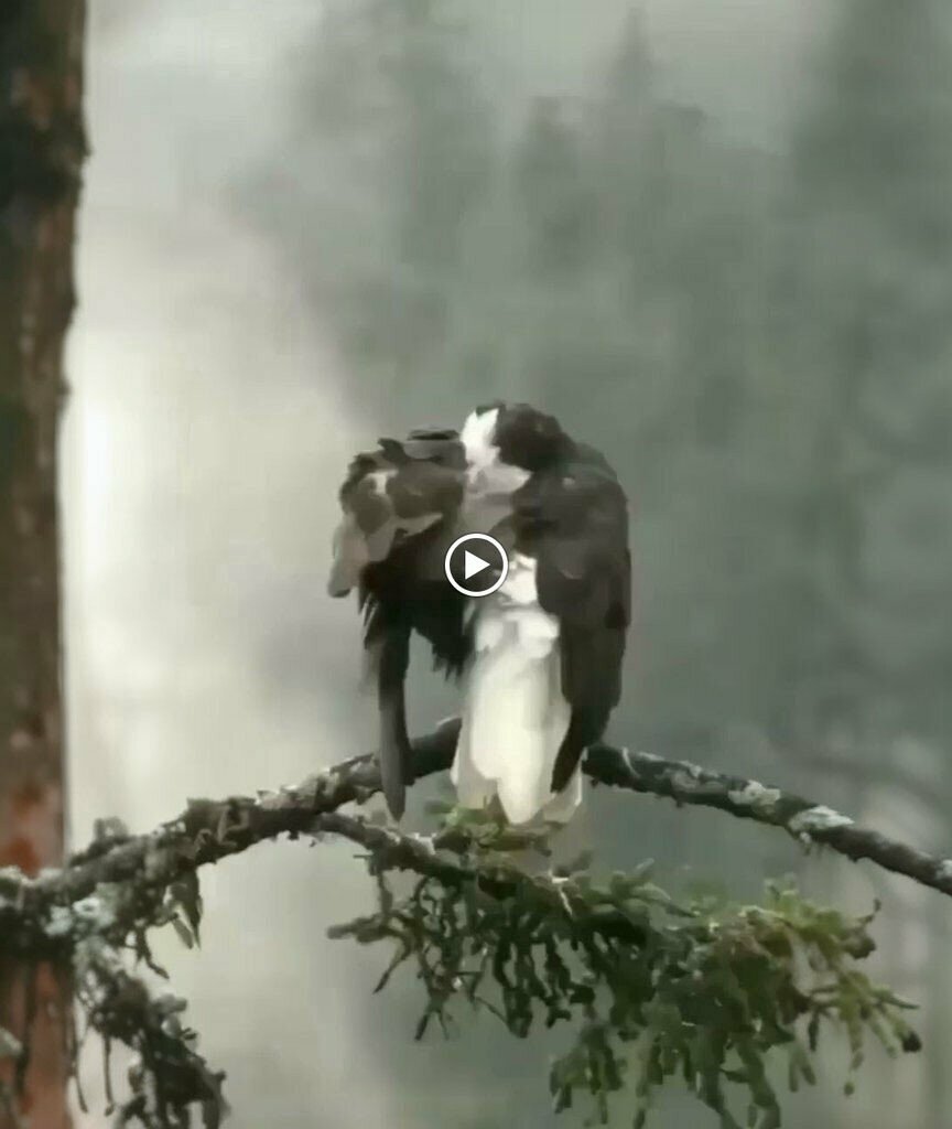 Health products Onemore international, Izmir, photo