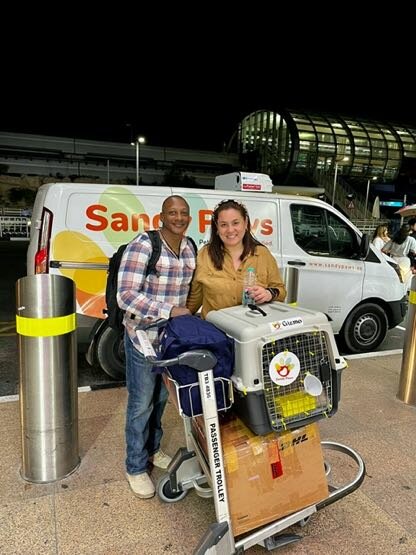 Transportation of animals Sandy Paws LLC, Dubai, photo