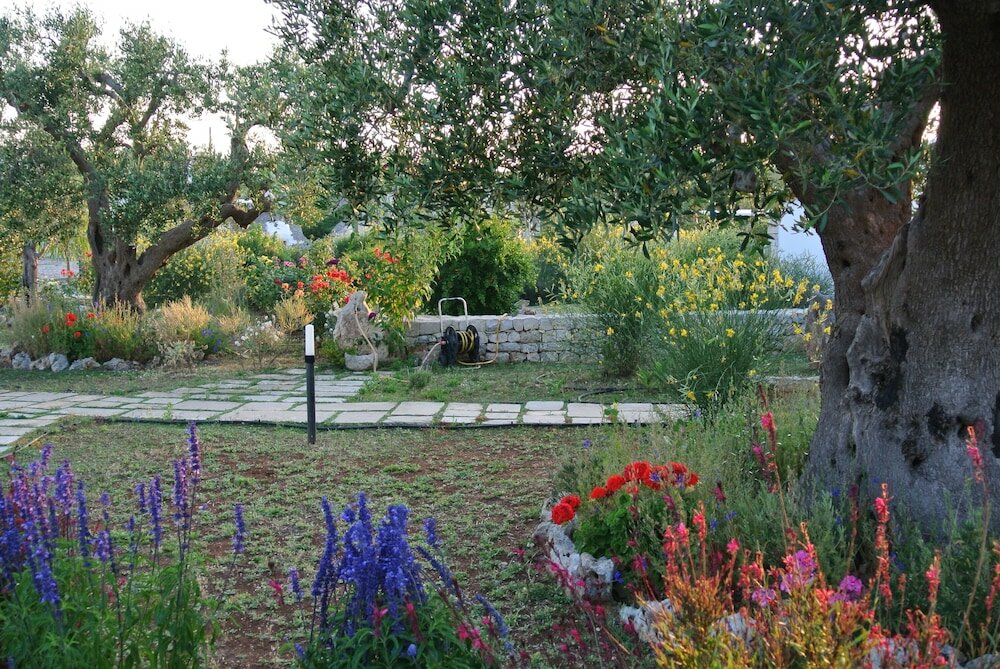 Фото Trulli Paparale