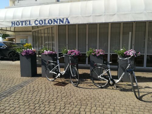Гостиница Hotel Colonna