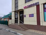 Wildberries (posyolok gorodskogo tipa Yablonovskiy, Shirokaya ulitsa, 2), point of delivery