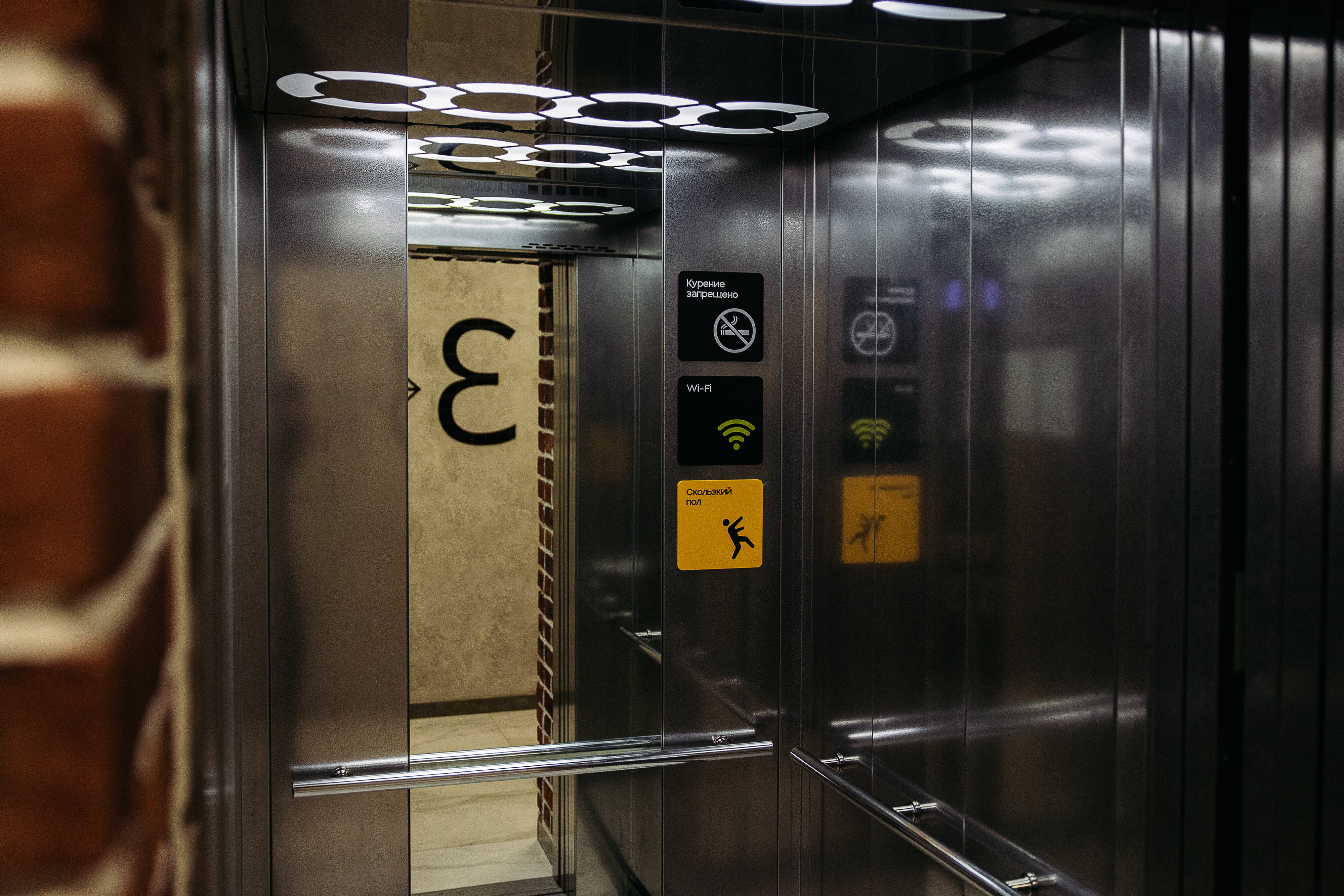 Фото Дубрава