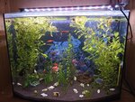 Природа (ulitsa Sovetskoy Armii, 11), pet shop