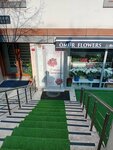 Omur Flowers (Istanbul, Besiktas, Dikilitas Neighborhood, Composer Street, 6) ، محل زهور