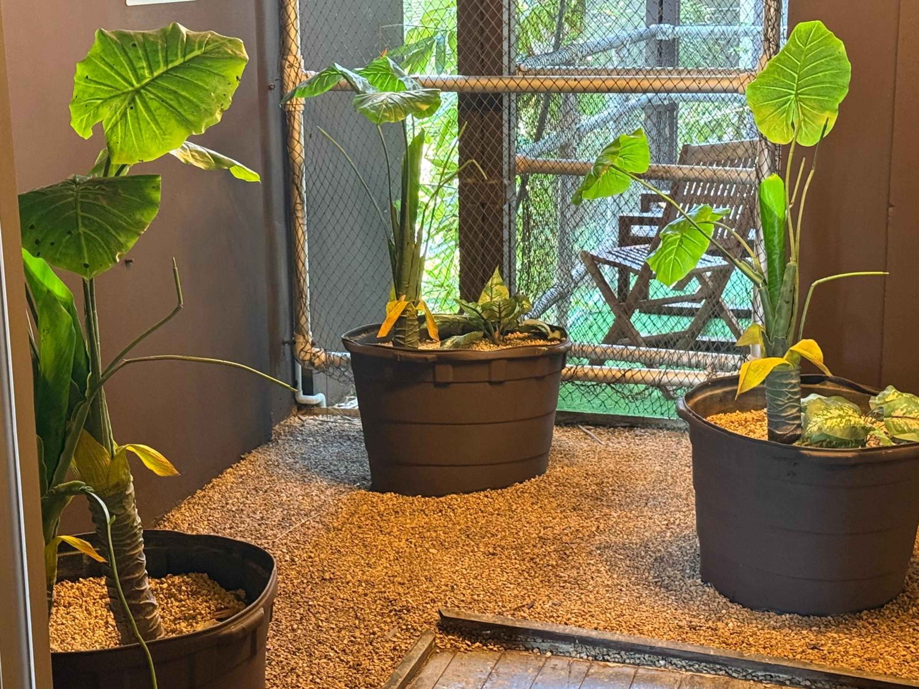 Фото Reina Roja Hotel Boutique