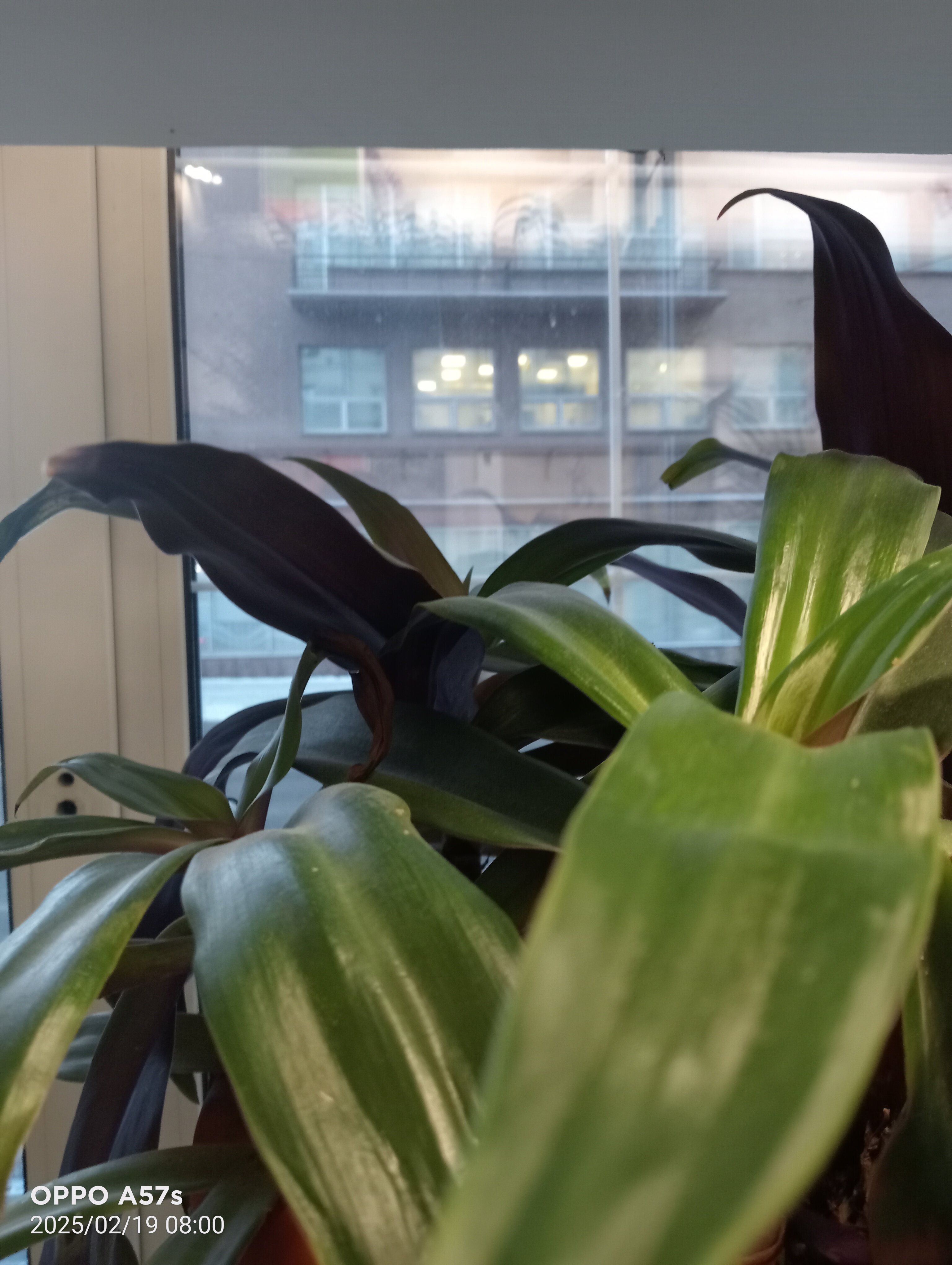 Фото Венеция в сердце моём