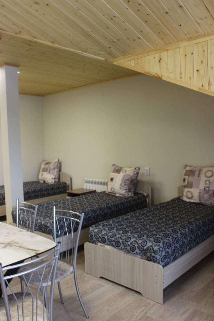 Фото Морошка