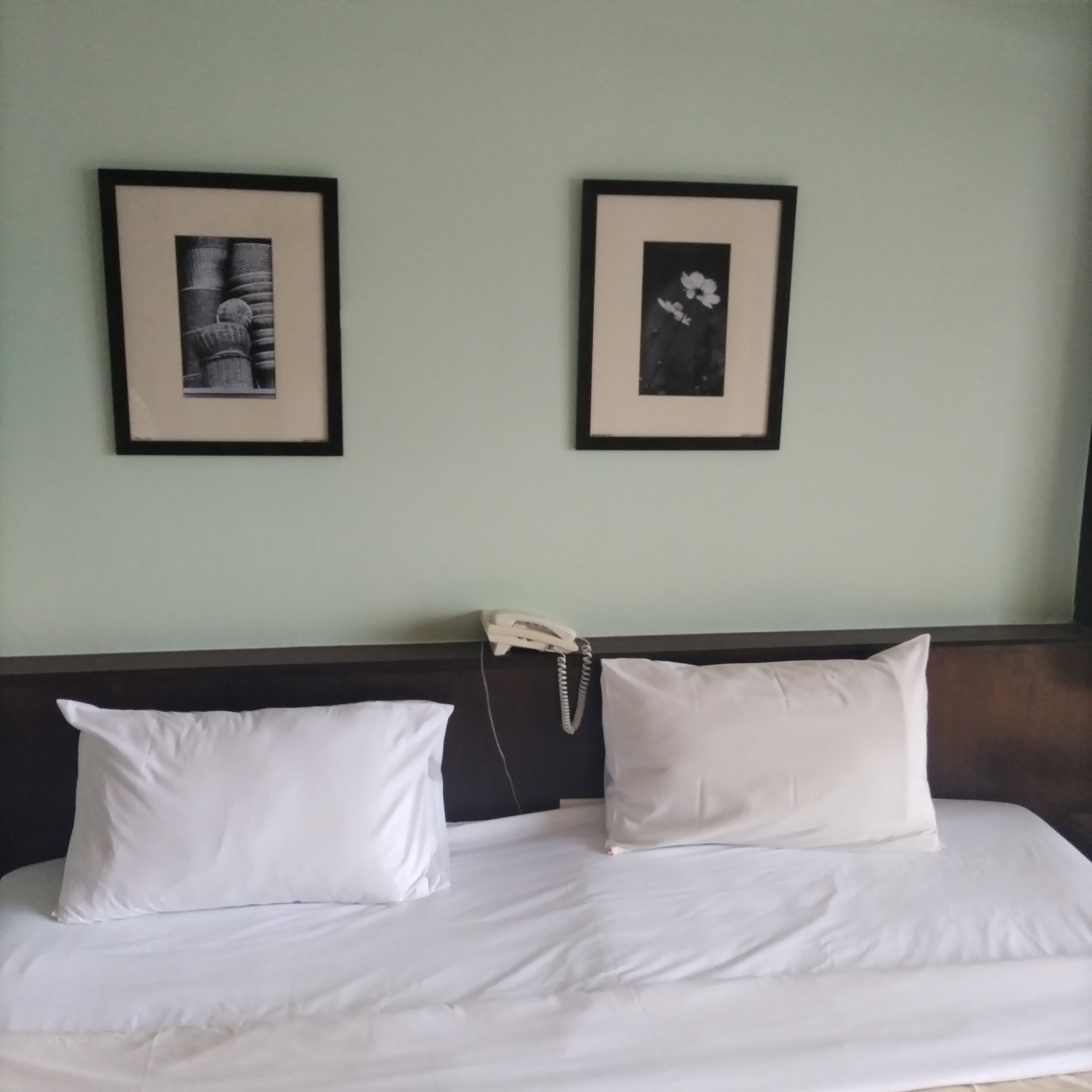 Фото The Jomtien Twelve