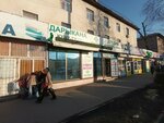 Дарыкана (Bubusara Beishenalieva street, 31) ، صيدلية