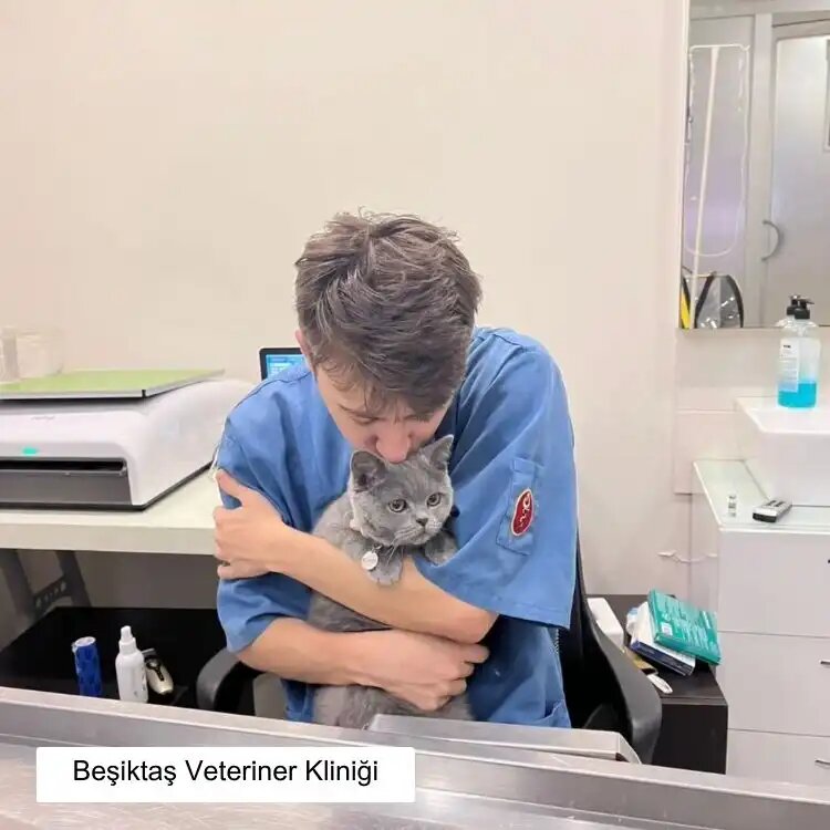 عيادة بيطرية Besiktas Veterinary Clinic ، اسطنبول، صورة