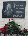 Рожновская основная общеобразовательная школа (selo Rozhny, Zelyonaya ulitsa, 46), school