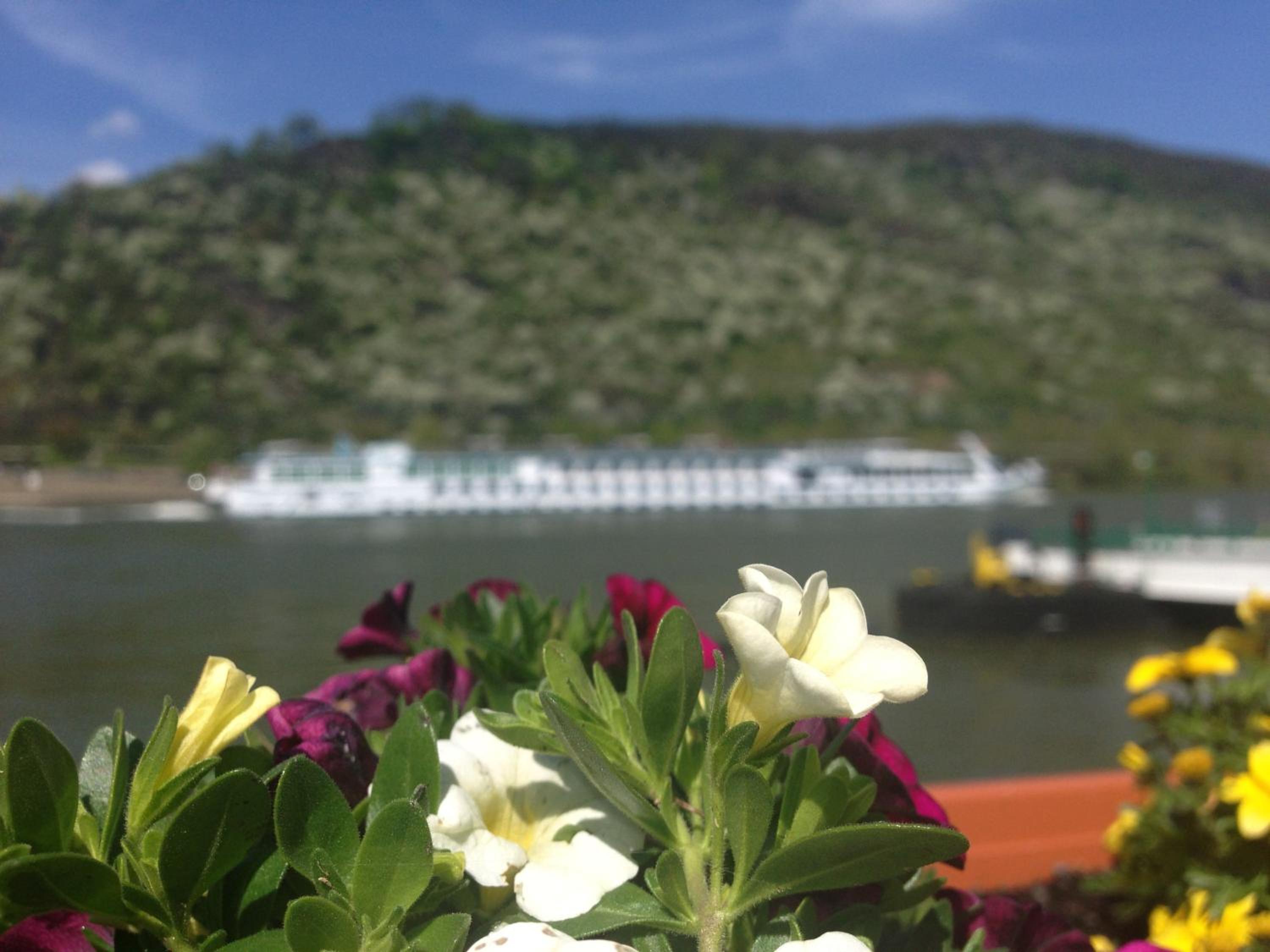 Фото Rheinhotel Lilie