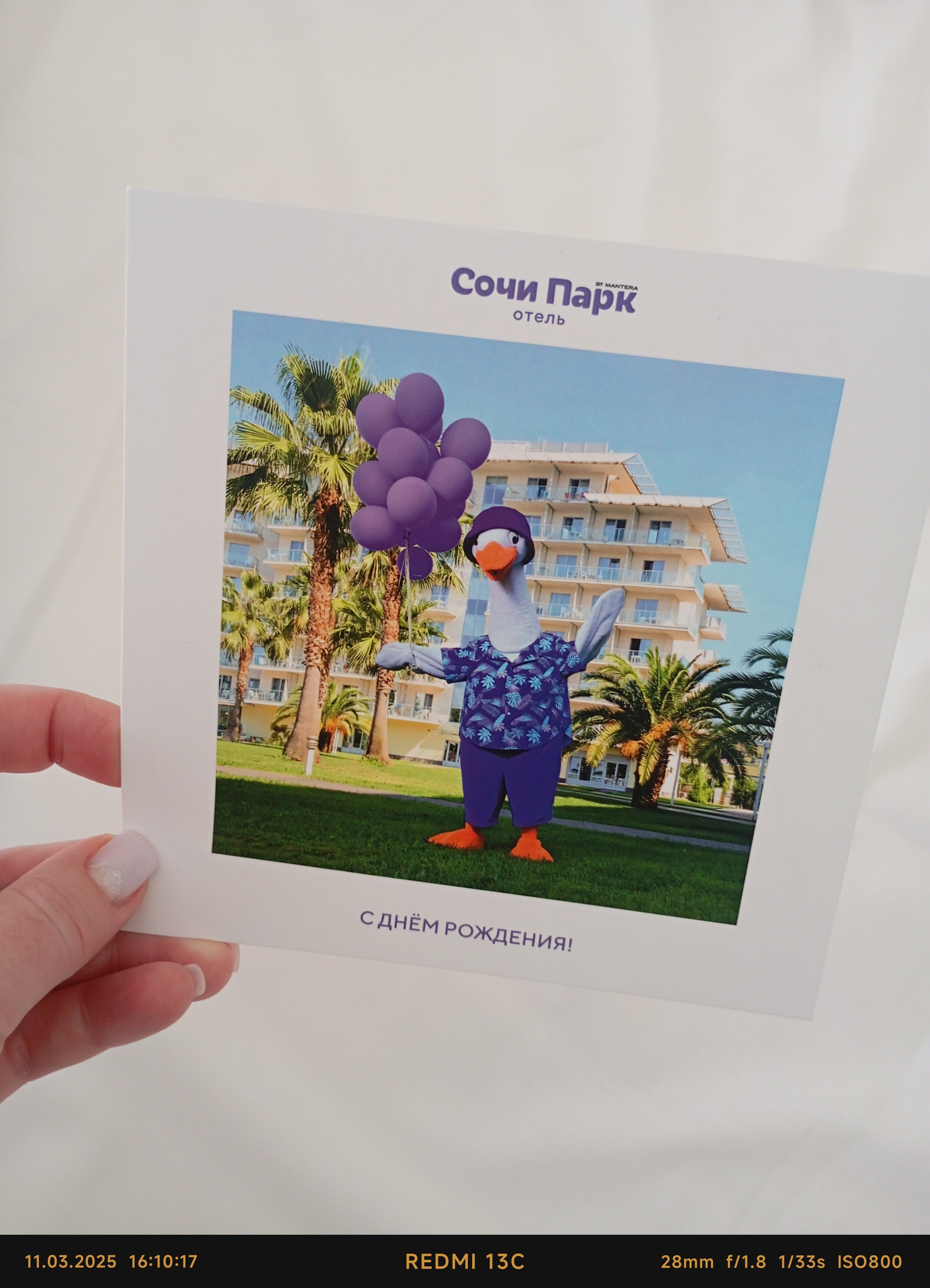 Фото Сочи Парк Отель