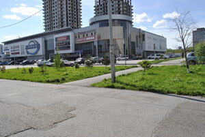 Сны