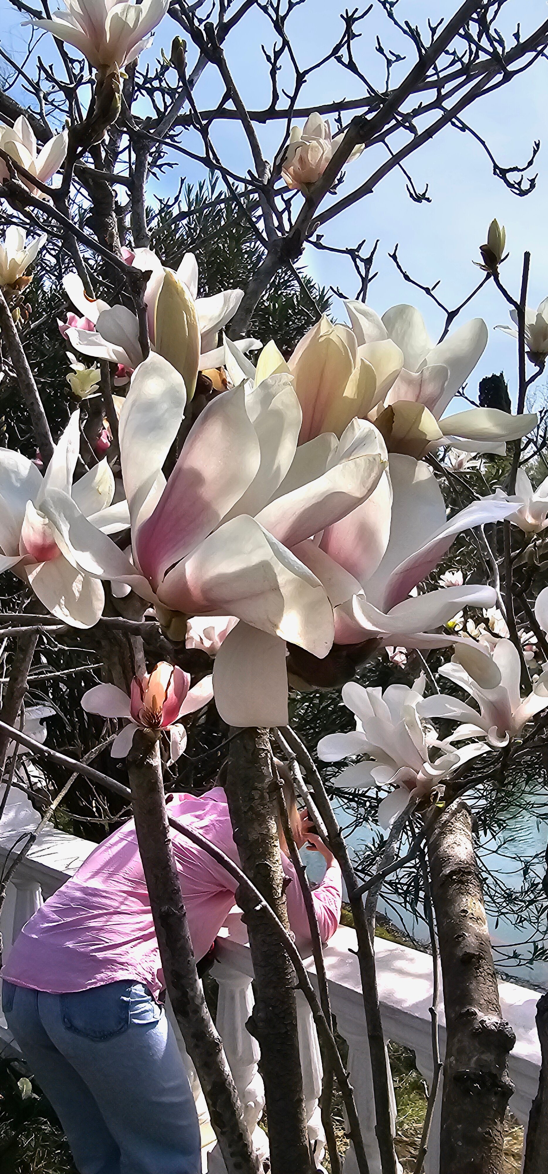 Фото Флоранс