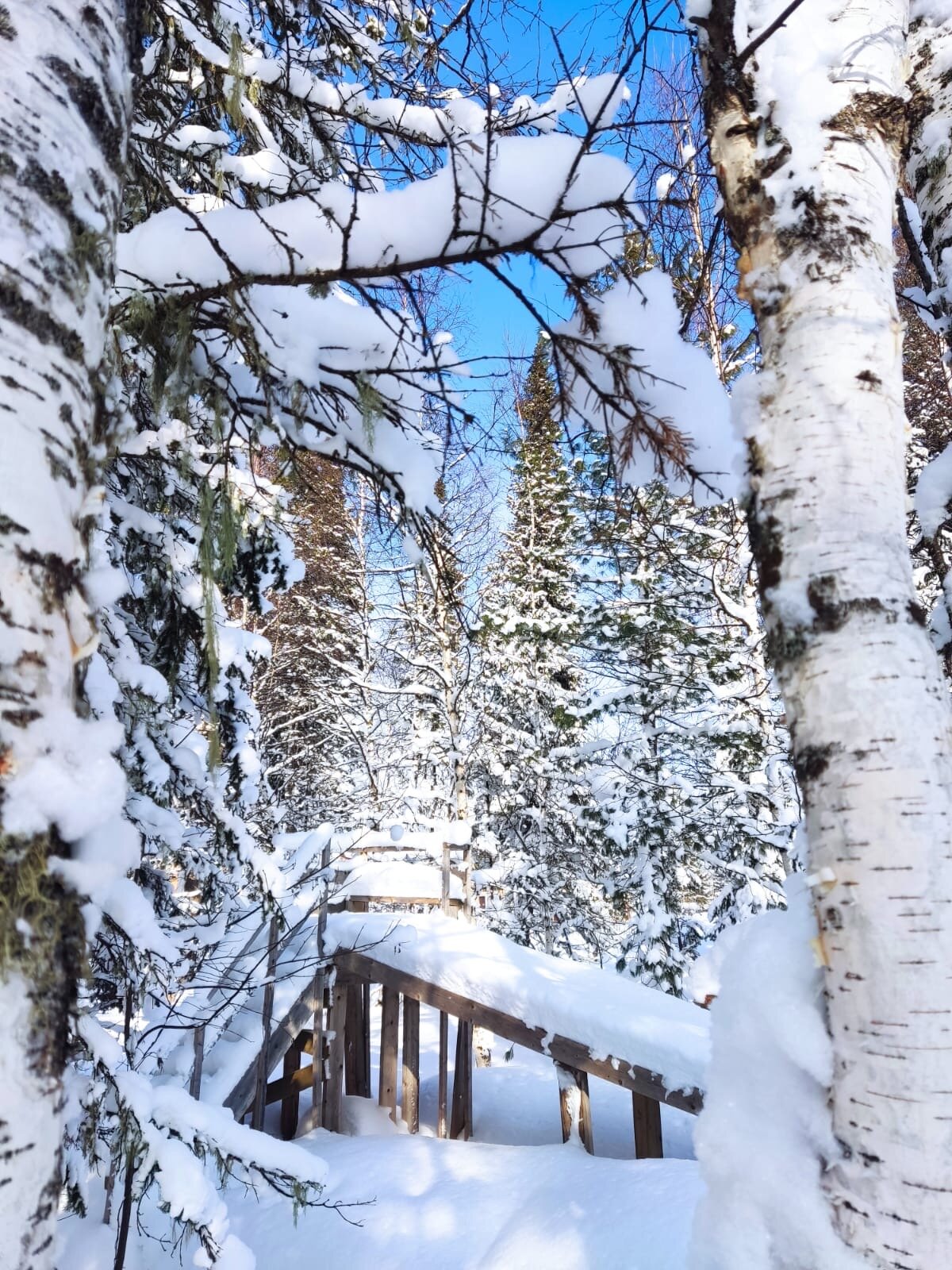 Фото 4 Стихии