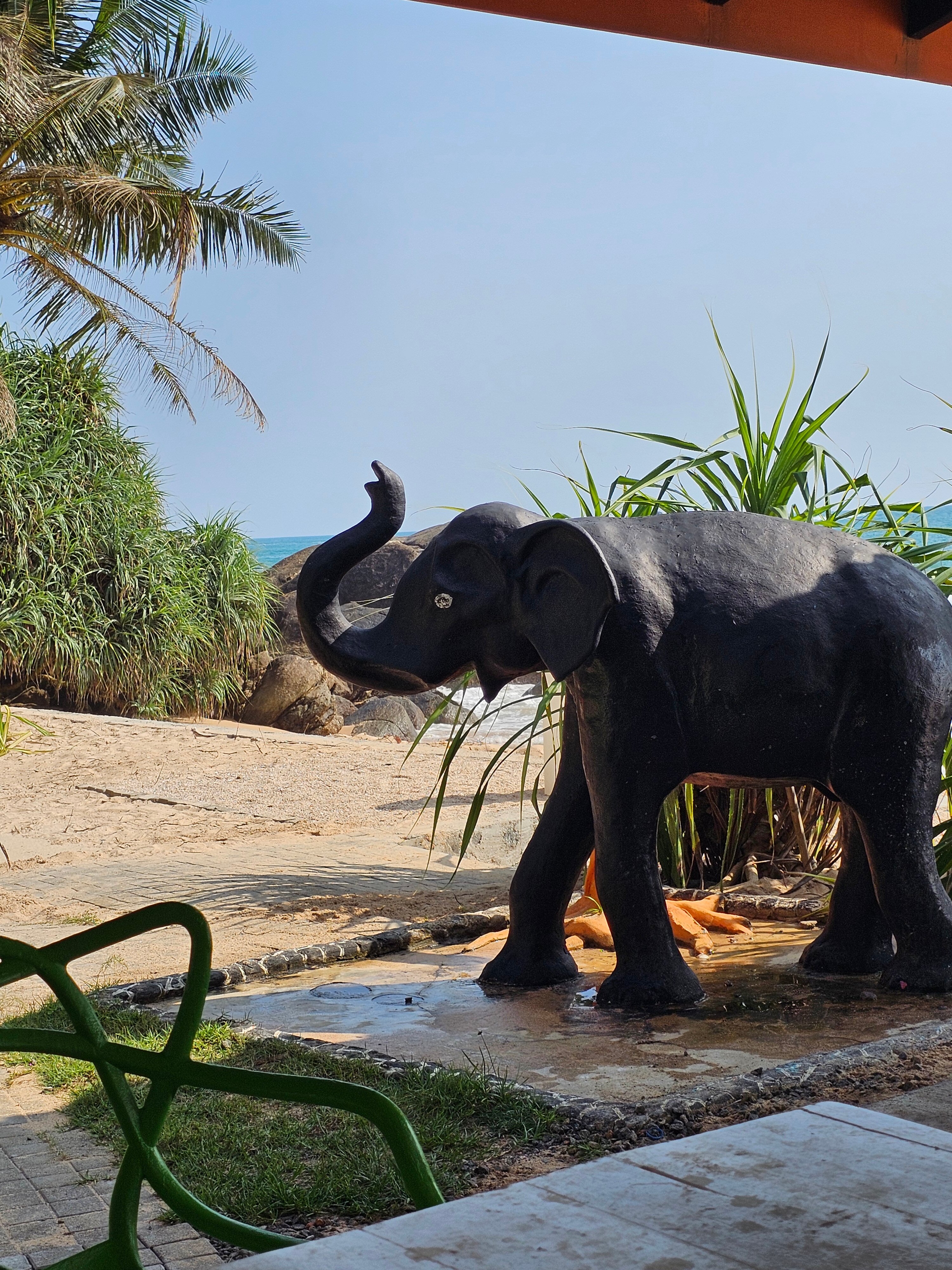 Фото J Ambalangoda