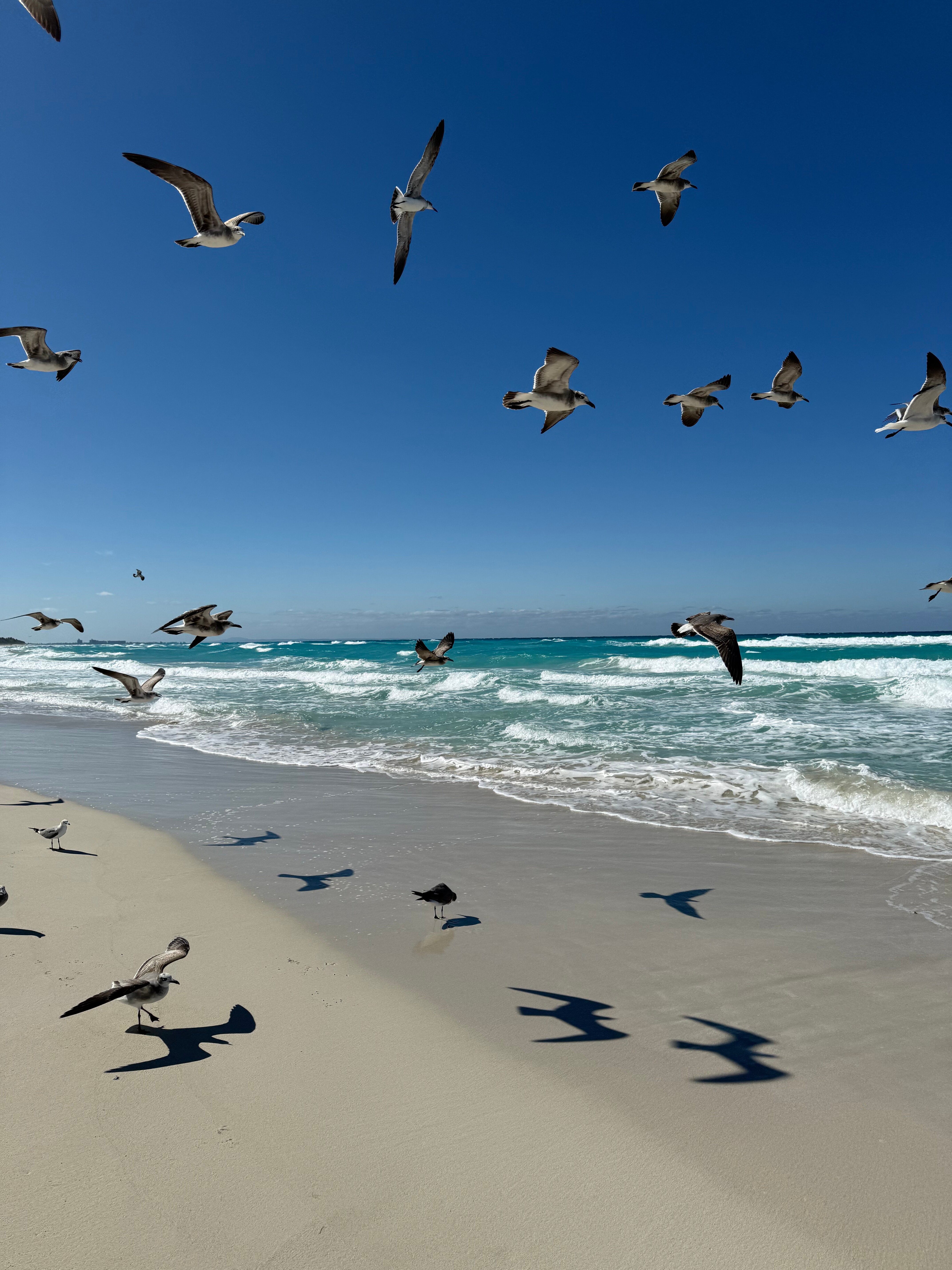 Фото Melia Internacional