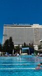 Marina park Sochi app (Chernomorskaya Street, 6), management company