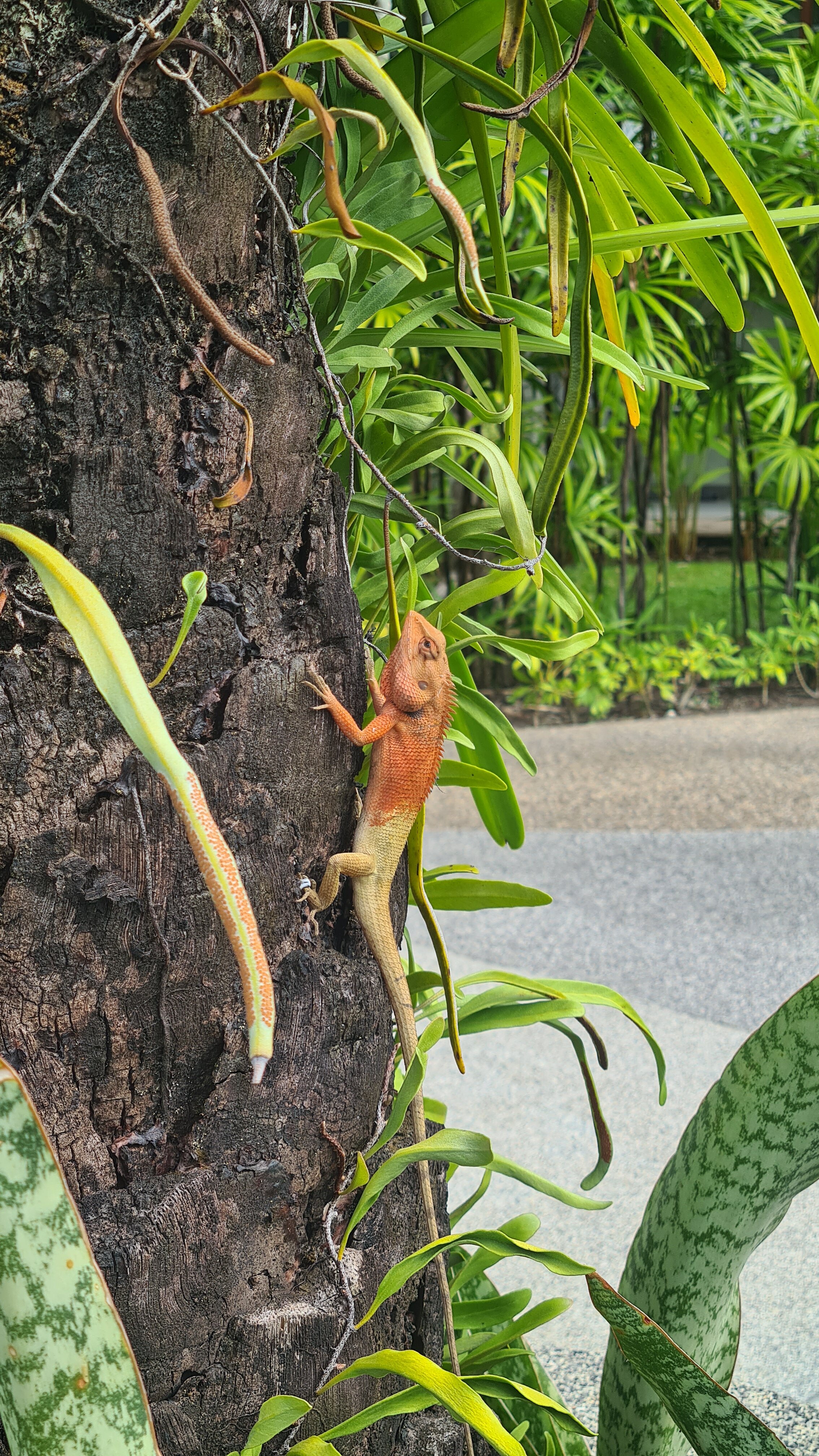 Фото Pearl of Naithon