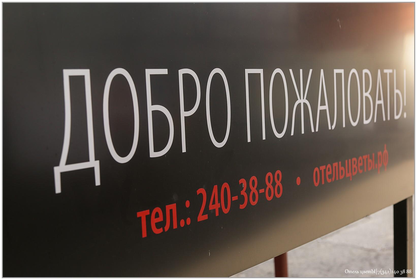 Фото ЦветЫ